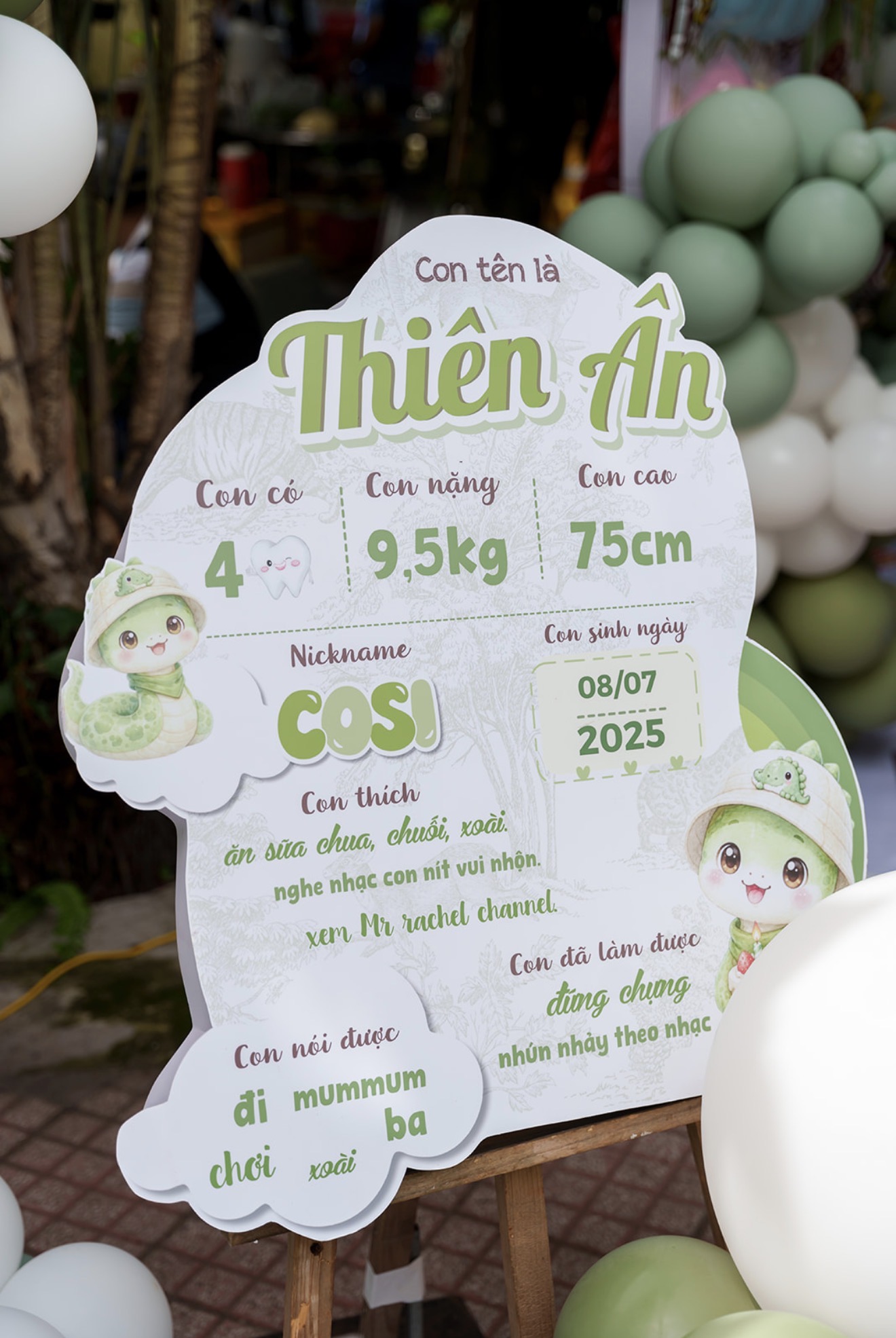 Mẫu trang trí tone xanh lá — ảnh 4
